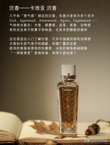 泥土味香水排行榜(小众香水品牌排行榜前十名)插图3
