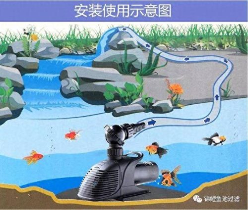 鱼塘水泵十大排行榜(水泵十大厂家排名)插图11