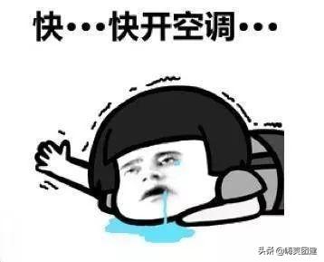 广东团建机构排名前十(适合部门团建一天的活动)插图