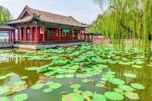 济南好玩的地方排行榜(济南打卡必去的地方)插图11