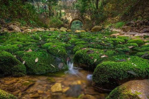北仑区小众景点排名前十(小众旅游)插图11