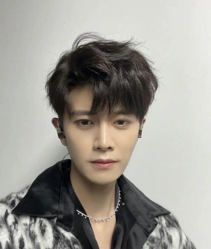 男明星的身高排行榜(190cm以上的中国男明星)插图