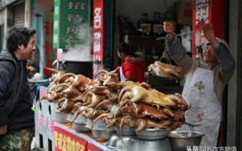 十大良种肉狗排行榜(土狗自由配对成功)
