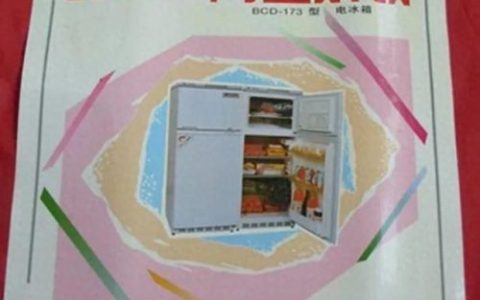 阿里斯顿冰箱排行榜(冰箱高端品牌排行榜)