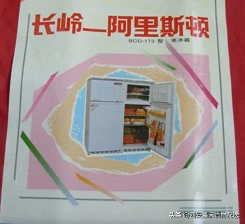 阿里斯顿冰箱排行榜(冰箱高端品牌排行榜)插图