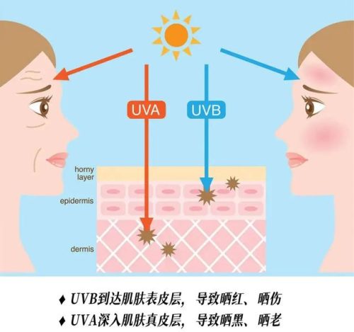 D18面霜排行榜(d18神经酰胺面霜)插图6