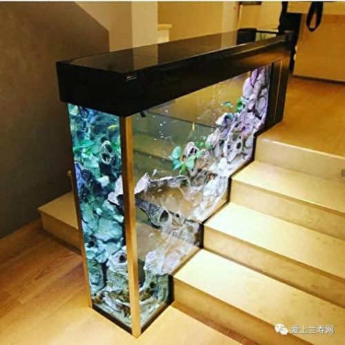 十大鱼缸品种排行榜(十大鱼缸排名前十名)插图3
