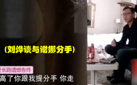 刘烨和谢娜(刘烨谢娜电视剧有哪些)
