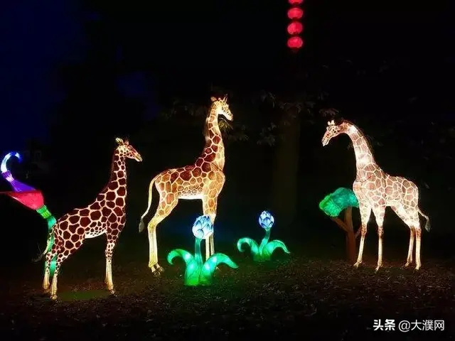 濮阳情侣酒店排名前十(濮阳十大特色饭店)插图20