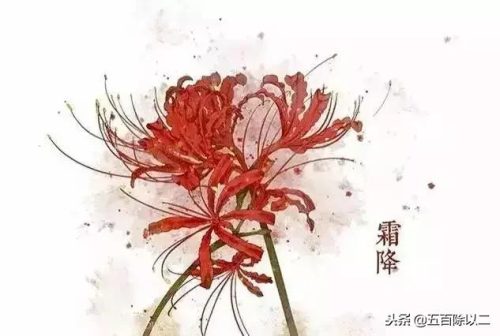彼岸花诗(彼岸花最惊艳有名的诗句)插图