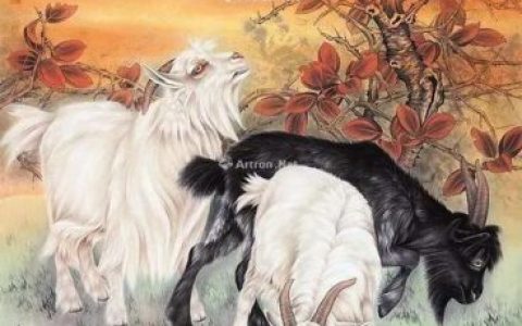 三阳开泰指什么生肖(三羊开泰打一准确生肖)
