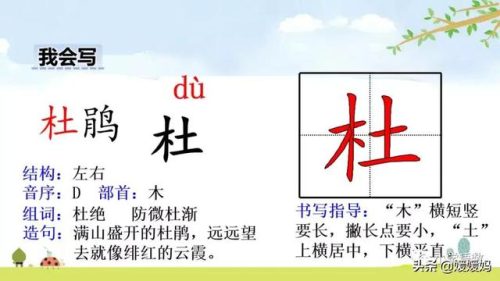 鹃的拼音和组词(鹃什么词语)插图13
