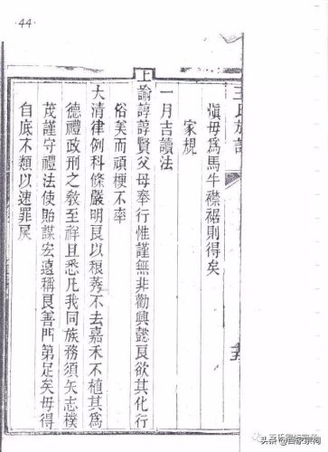 王氏族谱(山东王氏族谱字辈排序大全)插图42