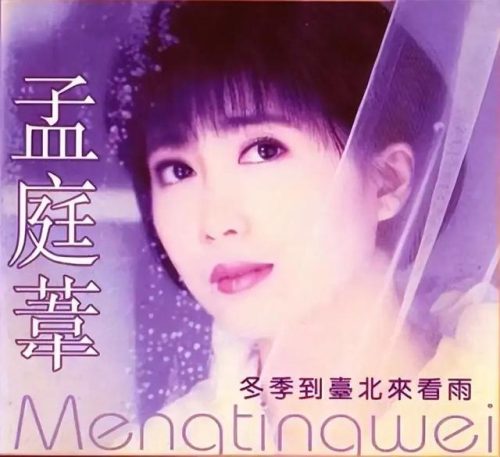 陈淑桦个人资料简介(陈淑桦年轻时最美图片)插图18