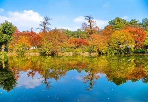 苏州各区景点排名前十(苏州市区景点)插图21