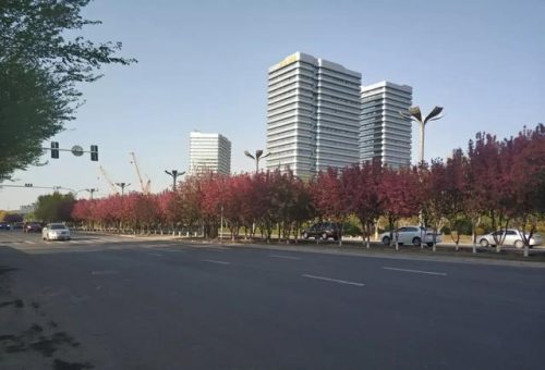 乌鲁木齐住房高楼排名前十(乌鲁木齐在建最高大楼)插图15