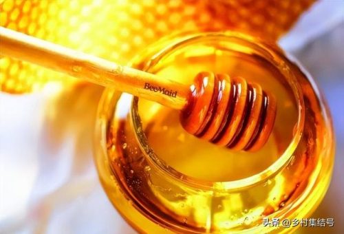 加拿大蜂蜜品牌排行榜(加拿大蜂蜜多少钱一斤)插图1