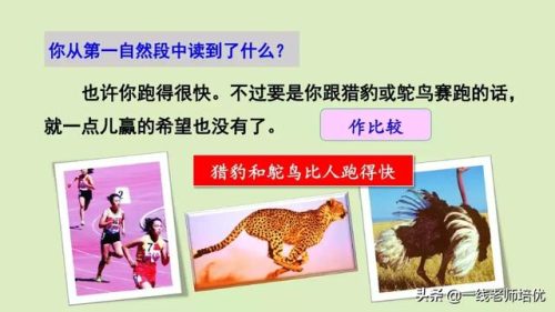俯冲的近义词(府冲近义词是动词吗)插图7