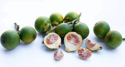 致癌的食物排行榜(一种食物吃了必得癌症)插图7