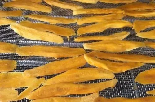 版纳果干品牌排名前十(西双版纳果干哪里批发最便宜)插图1