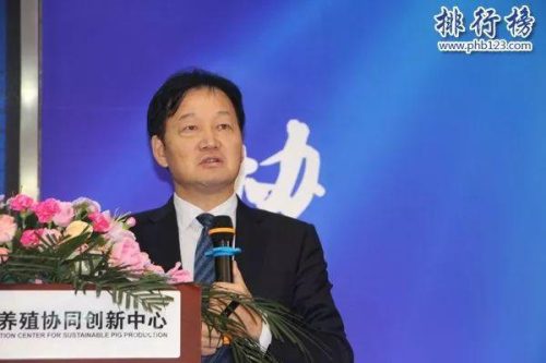 2015河南富豪排行榜(河南前100名富豪)插图