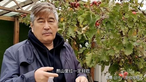 老牌明星排行榜(张学友的知名度)插图22