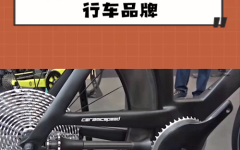 美国自行车排行榜(全球自行车品牌排行榜)