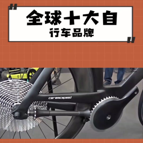 美国自行车排行榜(全球自行车品牌排行榜)插图