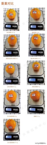 热门橙子品种排名前十(最甜的橙子是什么品种)插图4
