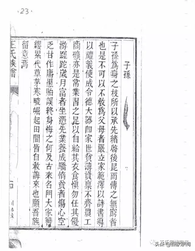 王氏族谱(山东王氏族谱字辈排序大全)插图24