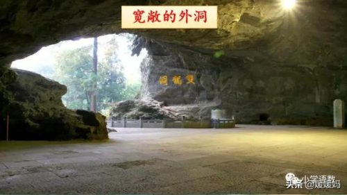 鹃的拼音和组词(鹃什么词语)插图51