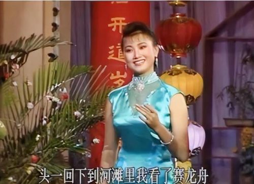 少数民族女歌手排行榜(中国朝鲜族的明星)插图7
