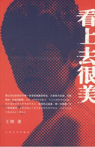 王朔作品(马未都王朔)插图9
