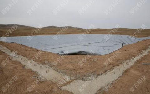 软体水池厂商排名前十(建造水池用什么水泥)