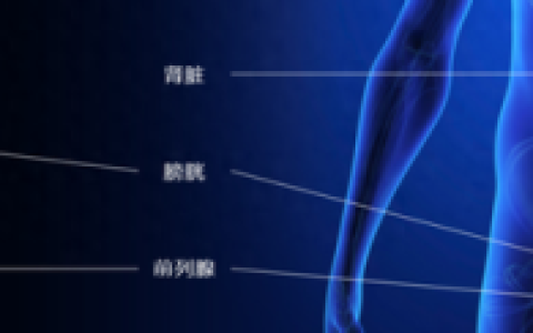 上海正规看男科的医院排行榜(上海男科医院排名第一中医院)
