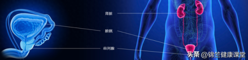 上海正规看男科的医院排行榜(上海男科医院排名第一中医院)插图