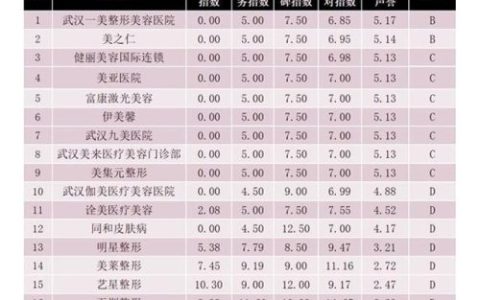 武汉整形大夫排名前十(武汉最权威的整形医院是哪家)