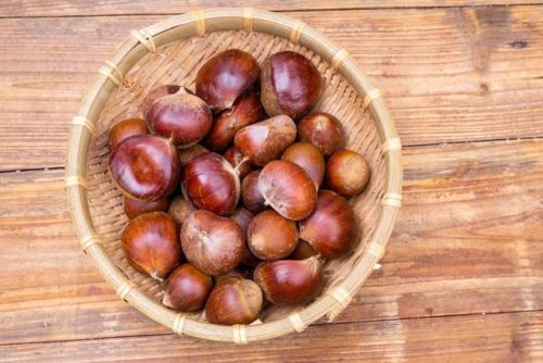 重阳节必吃十种美食(重阳节美食绘画)插图5