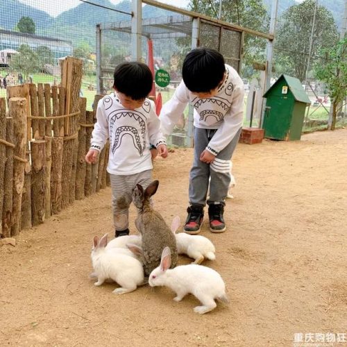 重庆好耍的农家乐(重庆好耍的暗巷)插图25