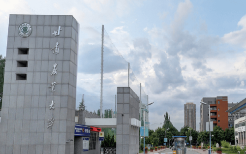 甘肃省大学排行榜(甘肃大学排名一览表最新)插图4