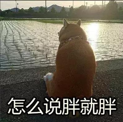 睡眠面膜排行榜10强(熬夜面膜排行榜前十名)插图18