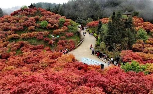 泰州最美小镇排名前十(泰州一日游必去景点)插图41