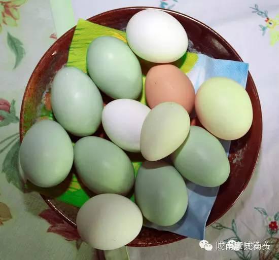 康县宾馆排名前十酒店(康县酒吧)插图51