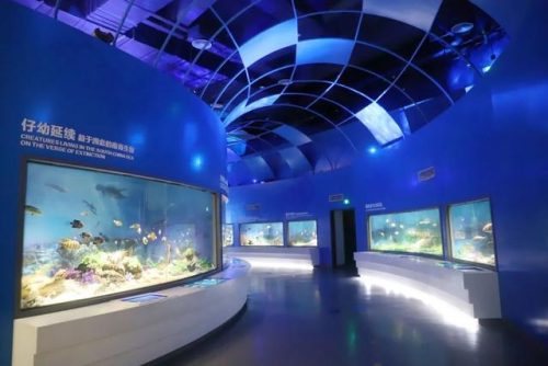 海洋生物资源最丰富的大洋(目前已知的海洋生物有多少种)插图6