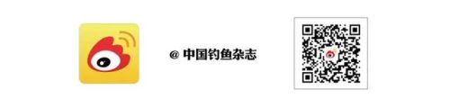 鱼具加盟店排行榜(渔具连锁店有哪些品牌)插图8