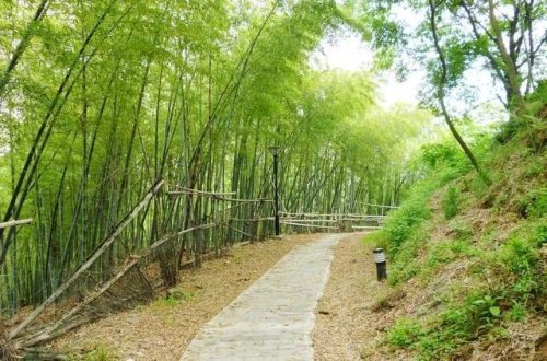 北仑区小众景点排名前十(小众旅游)插图27