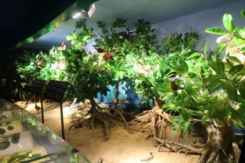 海洋生物资源最丰富的大洋(目前已知的海洋生物有多少种)插图2
