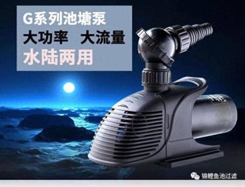 鱼塘水泵十大排行榜(水泵十大厂家排名)插图12