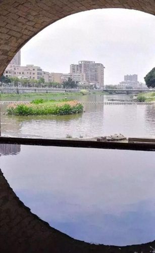 同安区湿地公园排名前十(同安汀溪湿地)插图18