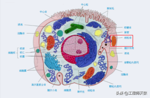 杭州杀妻案细节(杭州妻子消失案全过程)插图2